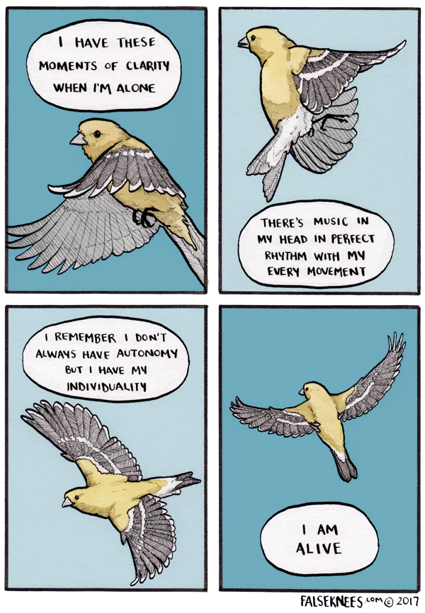 Four-panel False Knees comic about a bird experiencing clarity and autonomy in flight